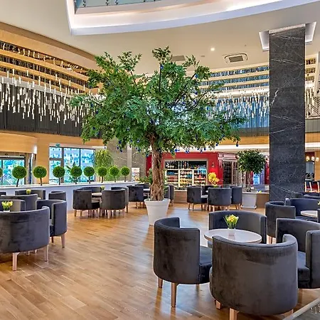 Seashell Vega 5* Manavgat